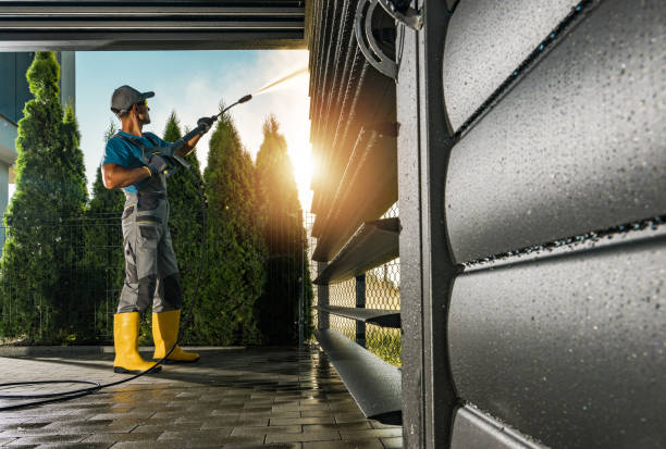 Best Roof Washing  in Hannibal, MO